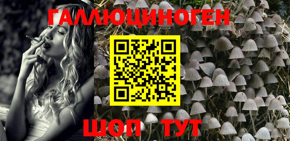 Псилоцибиновые грибы Psilocybe  Вход с VPN  Тайшет 