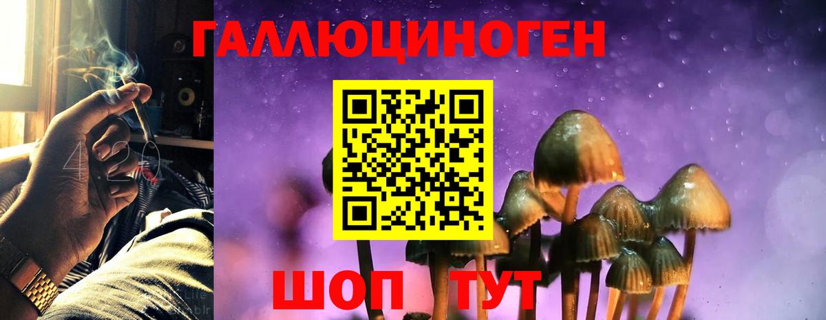 Галлюциногенные грибы мицелий Тайшет